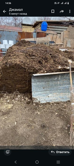 Перигной Навоз .