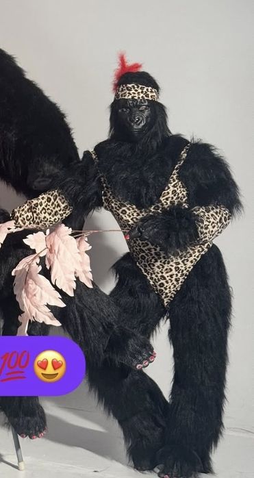 Аниматор, прокат костюмы Горилла Хлоя. Поздравление. День рождение