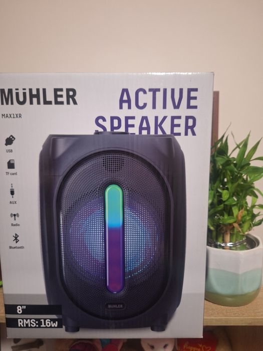 Активна колона MUHLER 8"16W