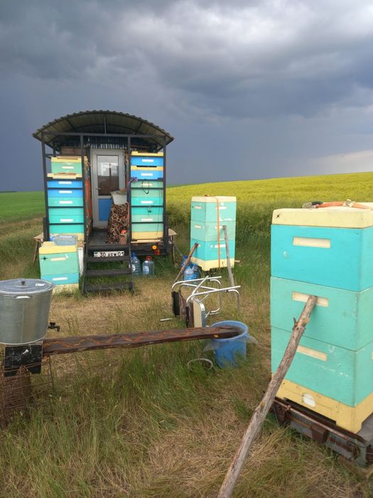 Пчелоприцеп, фургончик