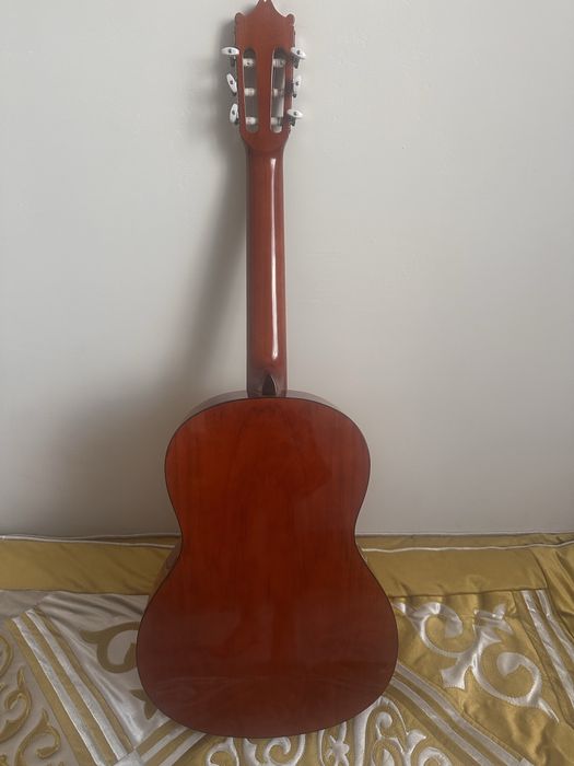 Классическая Гитара Salvador Ibanez