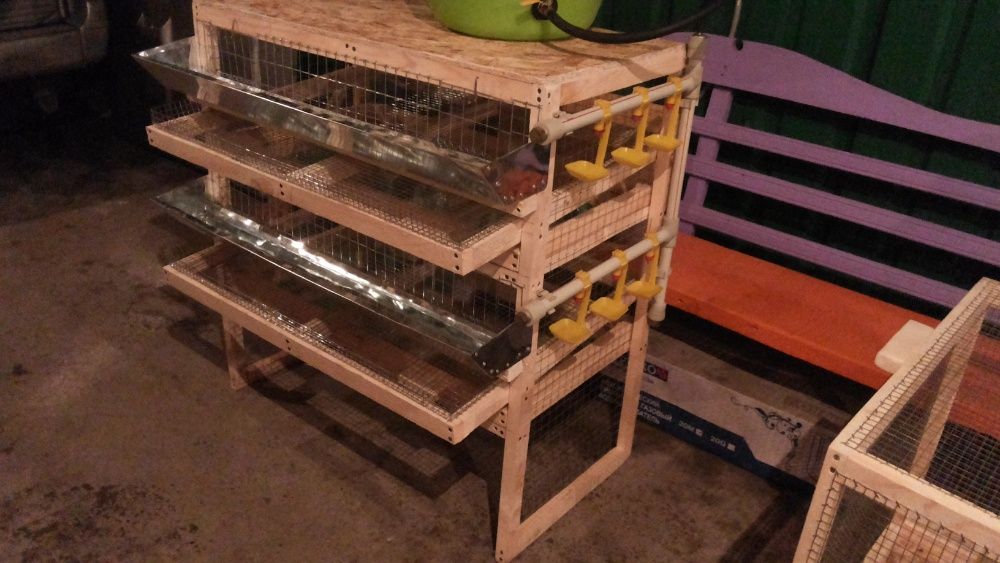 клетки для перепелов на 2 яруса