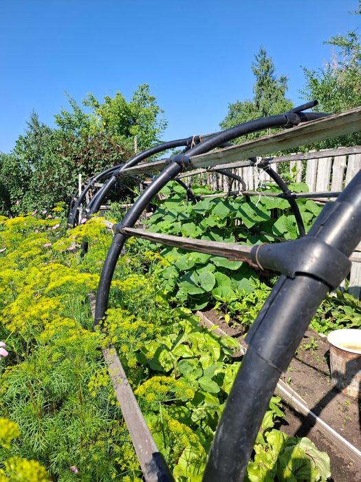 Продам дачу 6 общество, Рудный