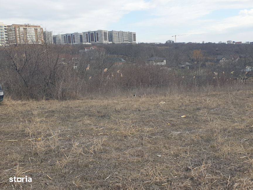 Teren intravilan IASI - COPOU - VITICULTORI -  in vecinatatea padurii