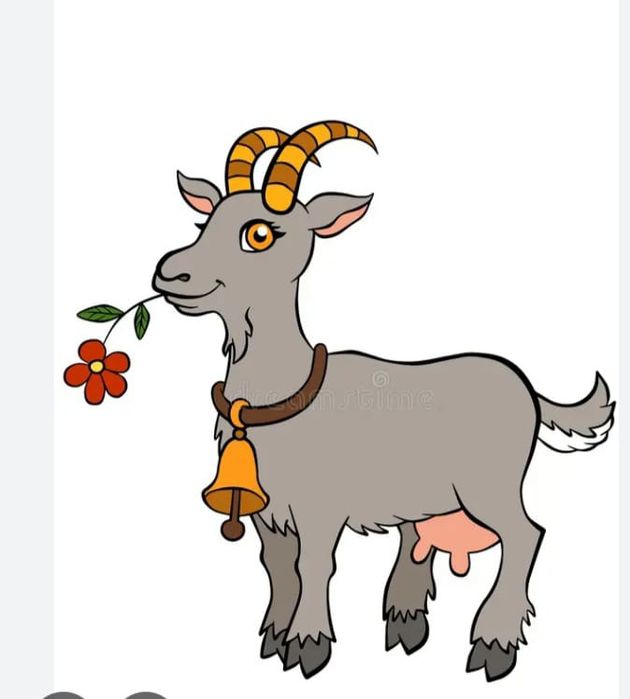 Продам козье молоко пишите на вапсап