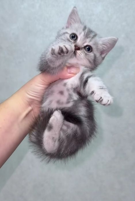 Мальчики и девлчки, 1.5 мес