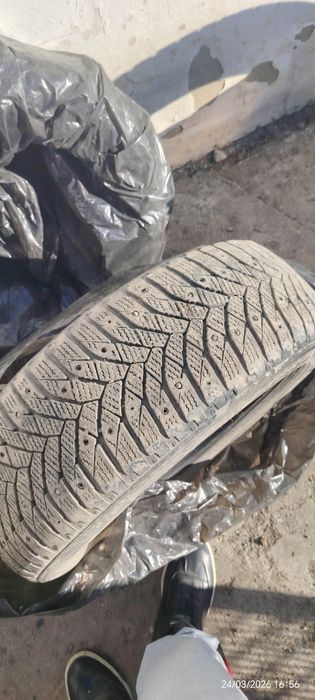 Продам пакришкы бу зимой