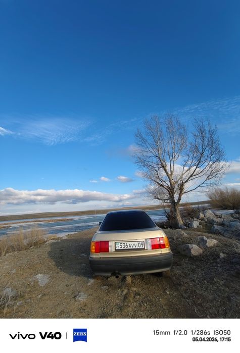 Ауди 80 б3 моно прыск 1.8