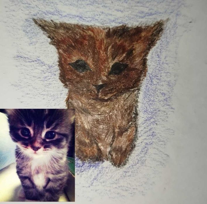 Рисую ваших питомцев