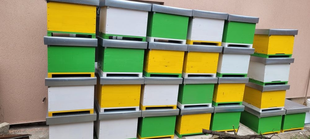 Stupi de albine/ lazi pe 12 rame