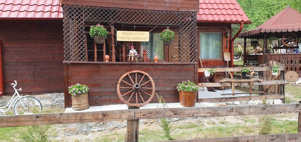 Cabana rustica de inchiriat