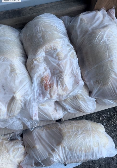 Гусь 2700 выращен на чистом зерне