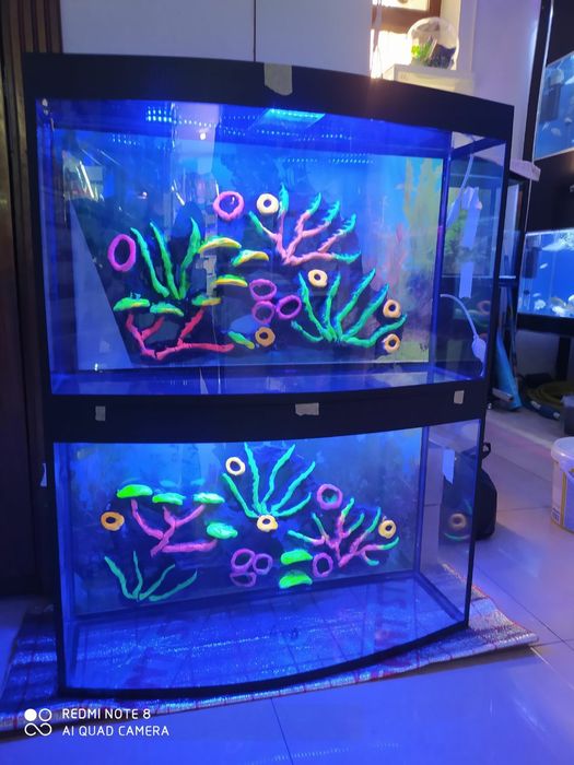 Akvarium Magazini Mirobod va Sergili