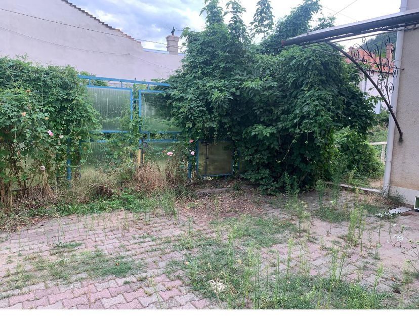 Defrișări,tăiat iarba,curățare teren,toaletare copaci la inaltime etc.