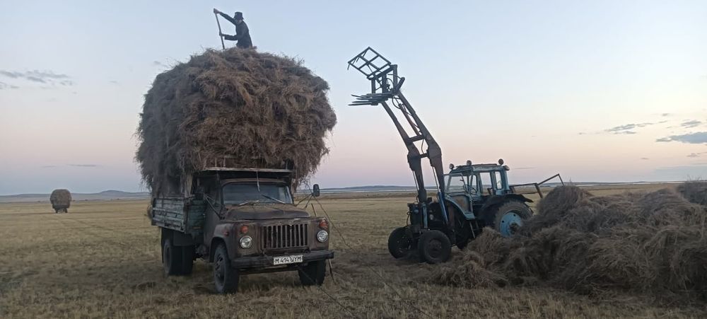 Сено продам. Шоп сатамын