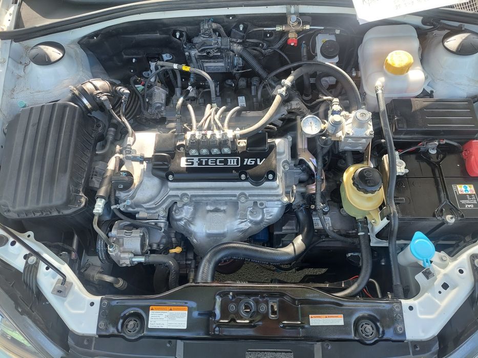 Жентра 2022 элегант пьюс