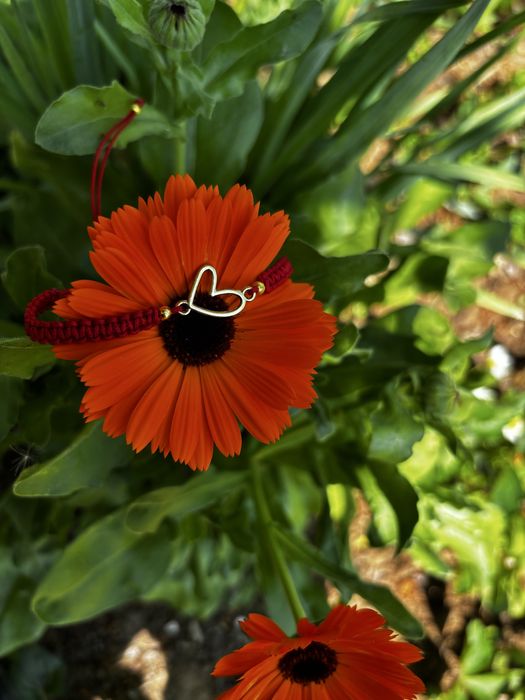 Червен Конец гривна различни елементи