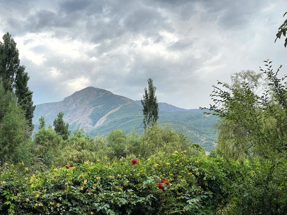 Дача бочка, Угам бойида