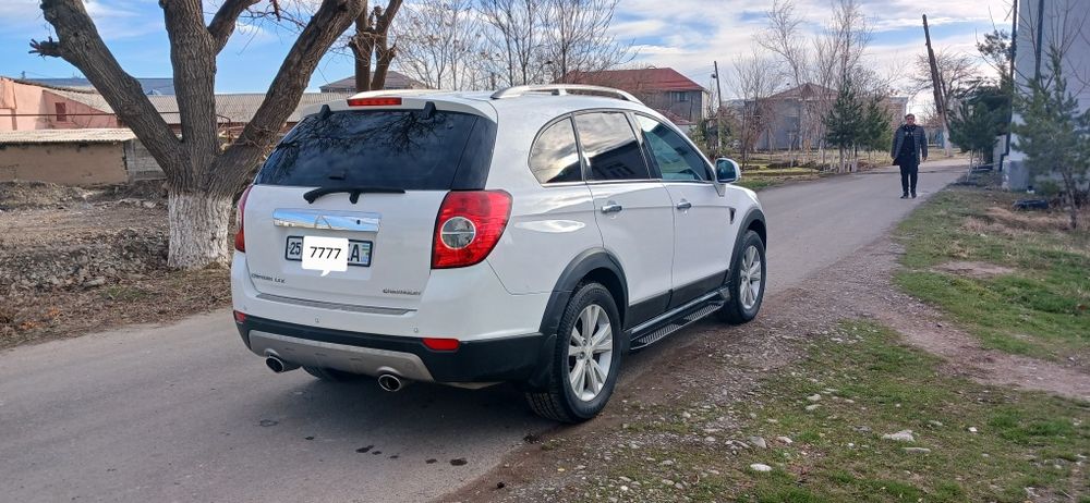 Каптива1 нахт, ВИКУПКА БОР