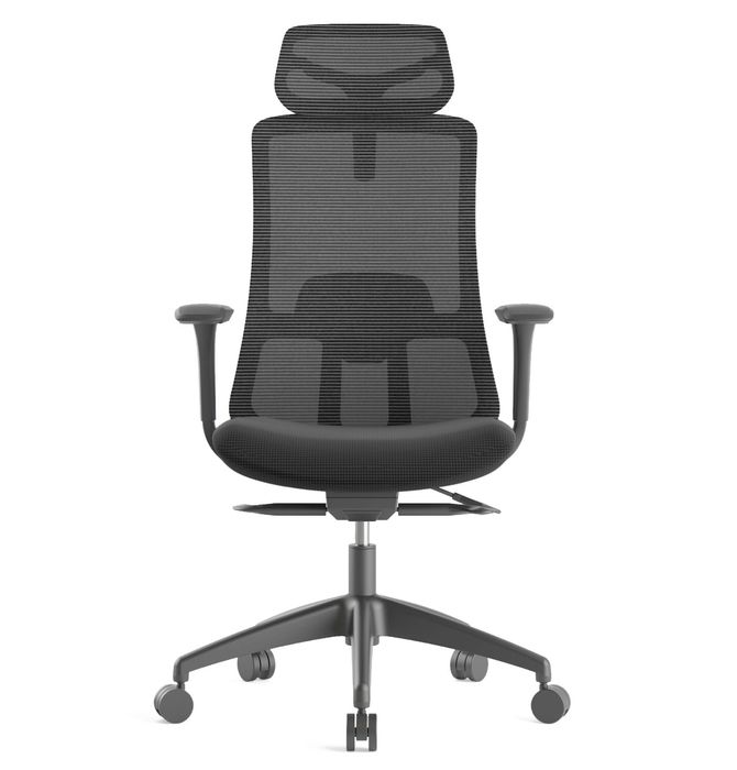 Scaun ergonomic de birou Ergoplus Patrick - Resigilat