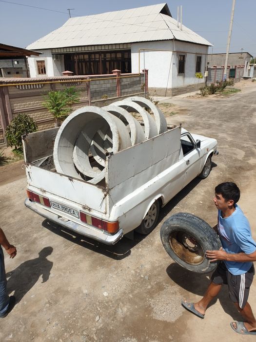 Kolsa kalodis krishka