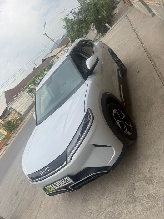 yuan up byd 2025