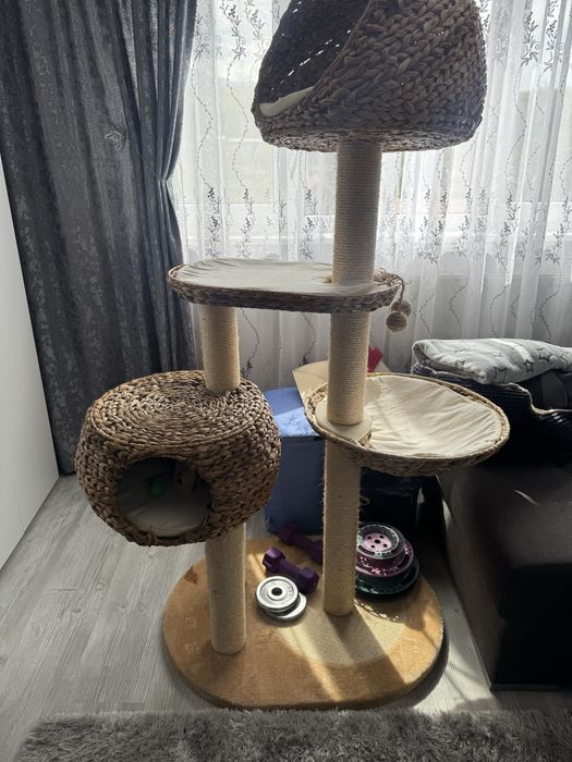 Ansamblu de joacă pisici