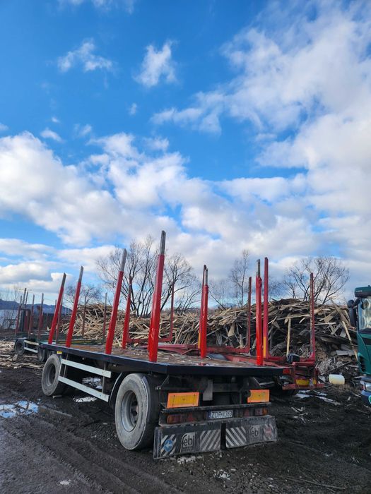 Remorca forestiera, racoante sasiu