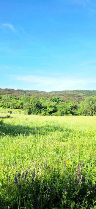 Парцел в регулация в село Боснек