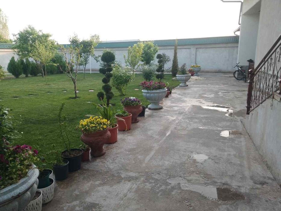 Toshkent viloyati Yangiyoʻl tumani Chamanzor maxallasi 161 uy 9sotix