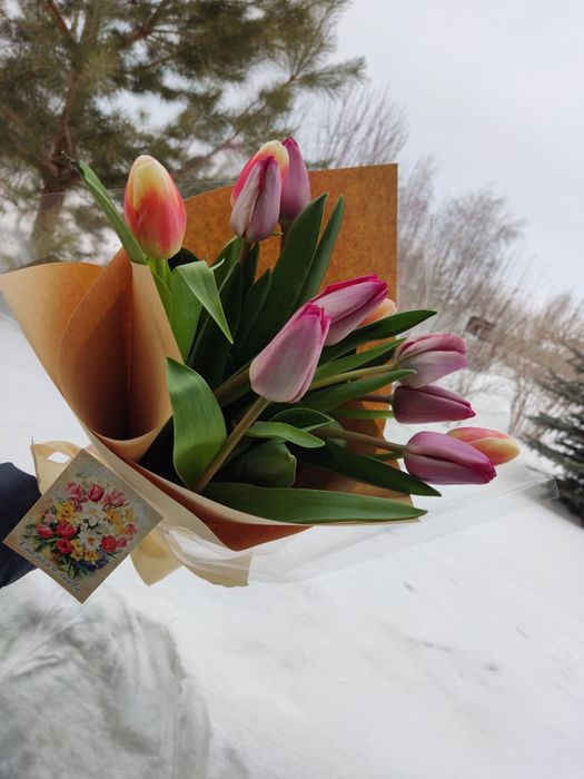 Тюльпаны Доставка