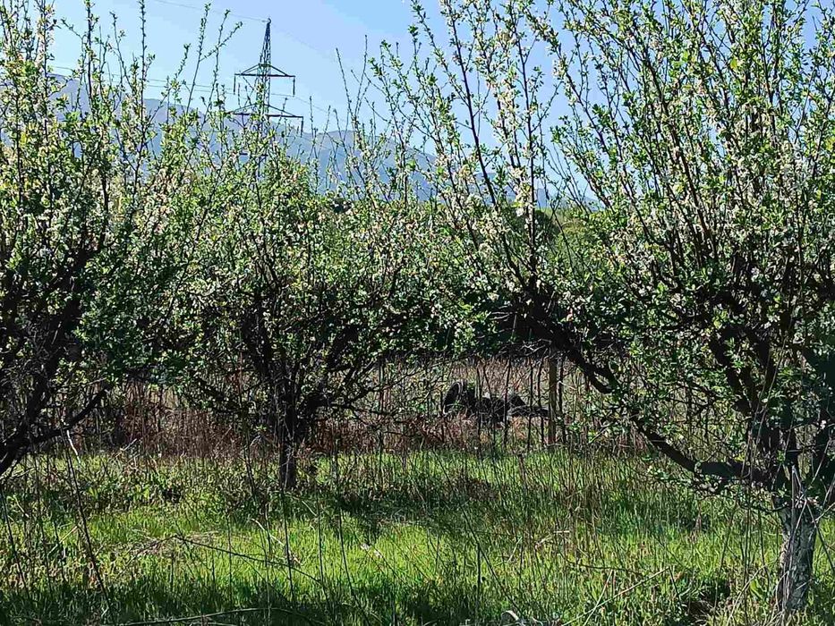 Продава се Земеделски имот в Мездра -  кв.м за 2040 €/дка - Снимка #2