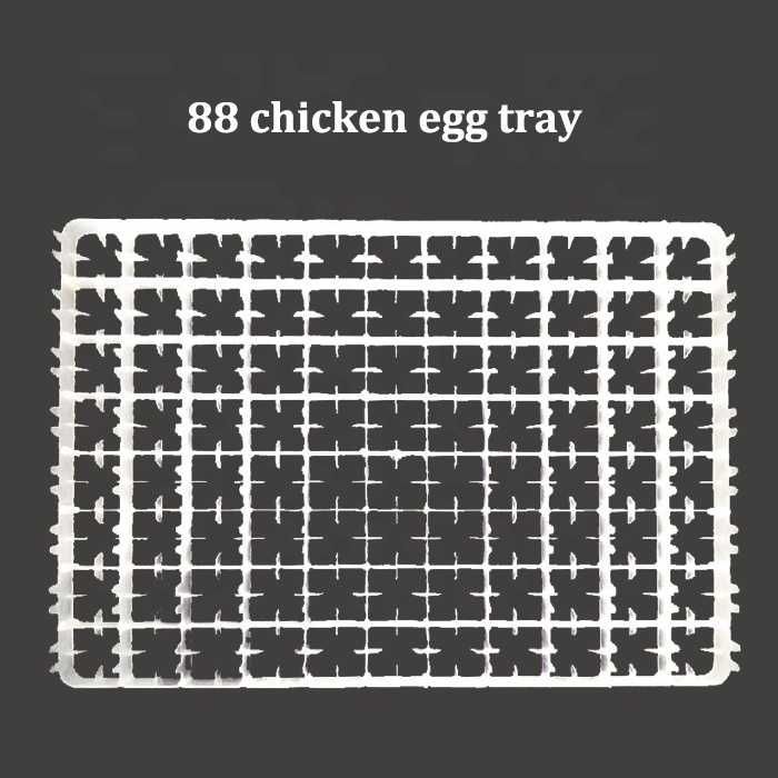 лоток для яиц, tuxum lotok