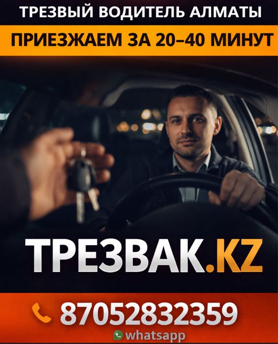 Трезвый водитель