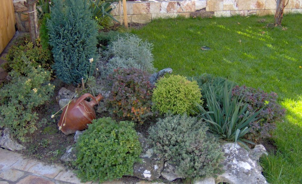 Резитба на овощни дръвчета и професионално озеленяване