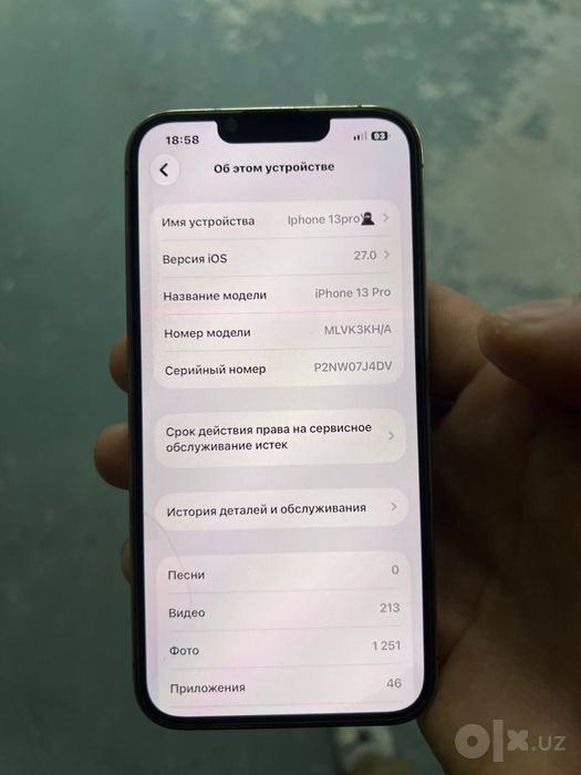 Iphone 13 pro radnoy