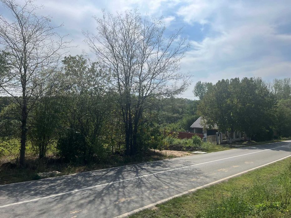 Vand Teren Snagov (Lipia) la 15 min de Bucuresti