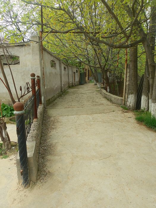 Тезда сотилади Ўртасаройда ховли