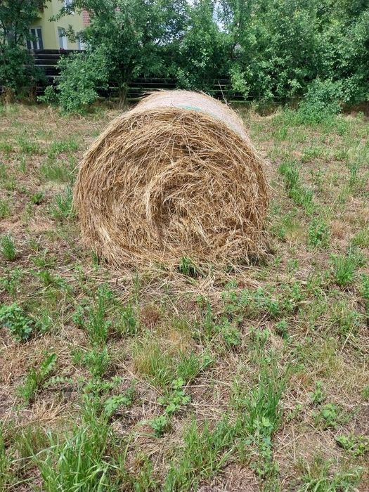 Baloți de fân 2026