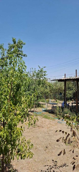 Продажа участок земля 5 соток угловой Чингелди Янги Узбекистан №К59