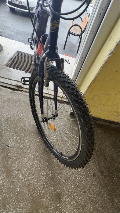 Mountain Bike Olimpia