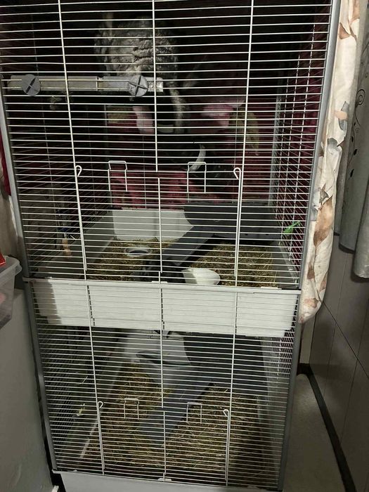 Vand sinsile toate odata sau la bucata pentru mai multe detalii sunati