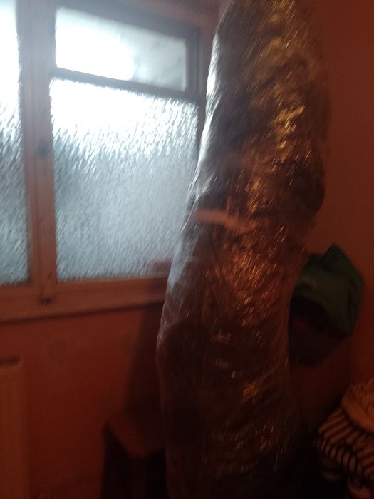 Brad natural deosebit Crăciun