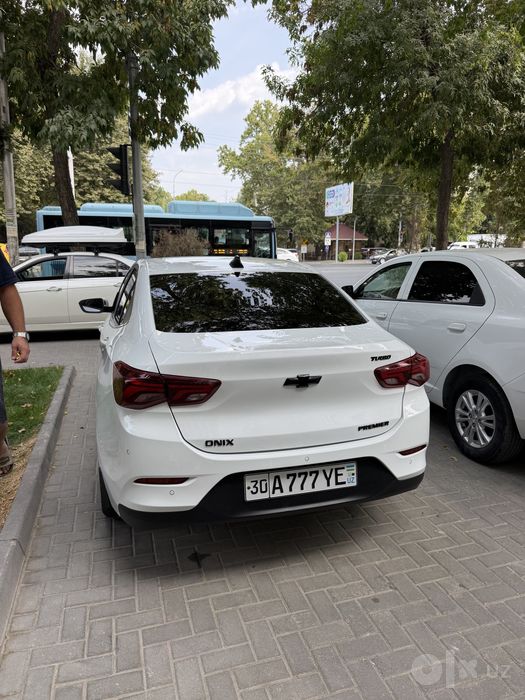 Onix primer 2 kraska toza mers sideniya