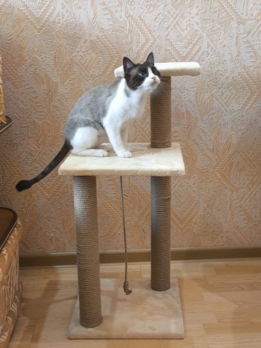 Когтеточка 80 сантиметров