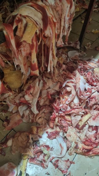 Отход для собак.