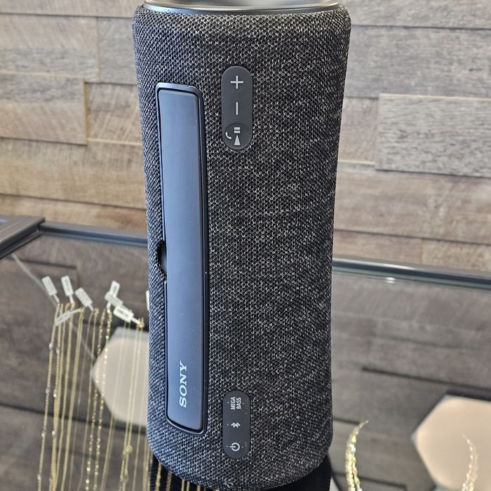 Amanet F28: Boxă Sony SRS-XG300(P)