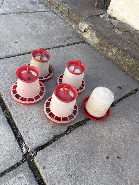 Hranitor pasari bune