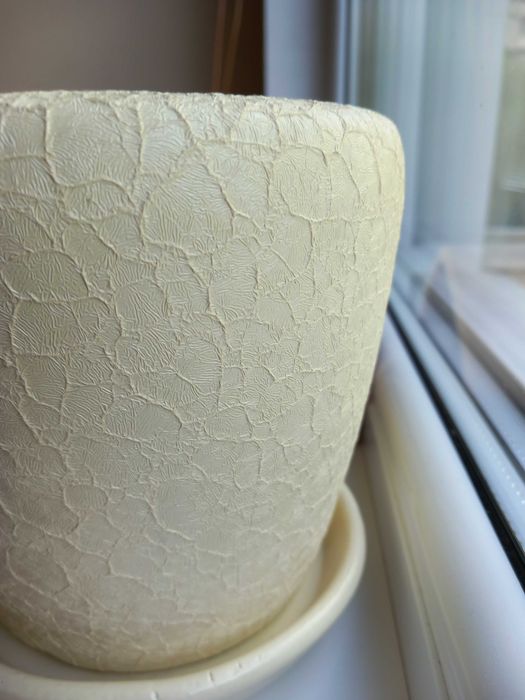 Саксия декоративна