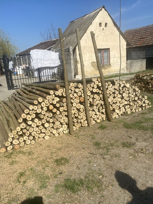 Pari sau stalpi de gard electric